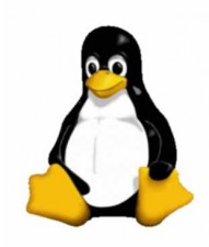 linux linux