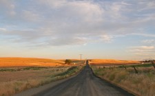 camino al campo