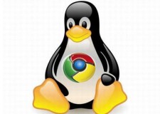 Google Chrome Linux