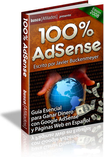 Guía esencial para ganar dinero con Google Adsense