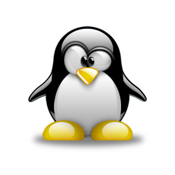 Aspectos avanzados de seguridad en redes (Biblia del Software libre) Aspectos avanzados de seguridad en redes (Biblia del Software libre)