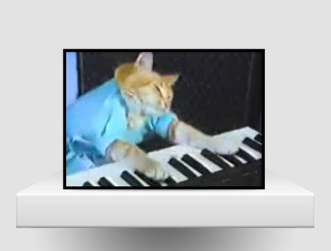 keyboard cat